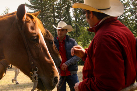 BOLGHERI, TUSCANY: SEPTEMBER 27, 2008 - A horse between forests and villages organized by the Province of Leghorn, the Tuscany Region and some of the Communes of the coast. Horse riding trails to the boundaries of the Province of Grossetoのeditorial素材