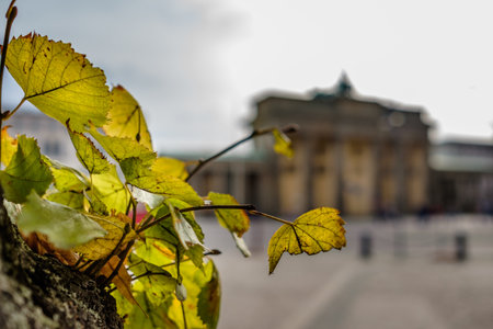 BERLIN, GERMANY - SEPTEMBER 22, 2015: Famous Brandenburger Tor (Porta di Brandeburgo), one of the most famous monuments and national symbols of Germanyのeditorial素材