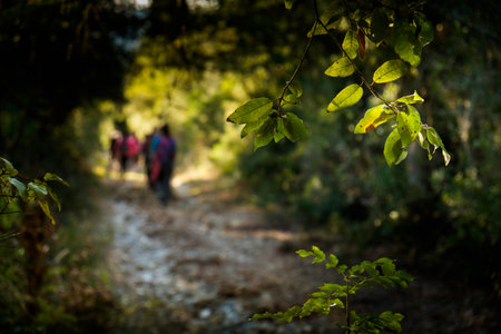 Volterra, Pisa, Italy - November 1, 2017: Hikers depart from Saline for the Volterra hills with panoramic views across the old railway, backlight of the pathのeditorial素材