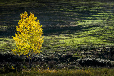 Volterra, Pisa, Italy - November 1, 2017: Hikers depart from Saline for the Volterra hills with panoramic views across the old railway, autumn backlightのeditorial素材