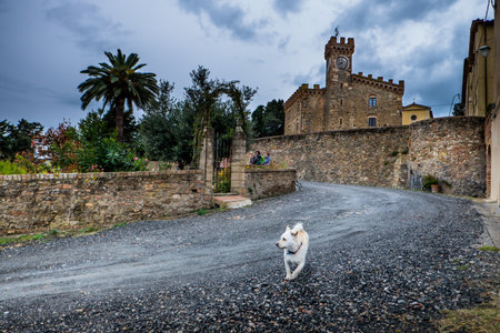 Casaglia, Pisa, Italy - 09 november, 2017: Trekking route towards the ancient village in Casaglia, Municipality of Montecatini Val di Cecina in the Province of Pisa, along the beautiful views and hills typical of Tuscanyのeditorial素材