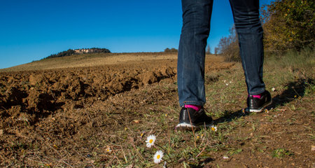 Casaglia, Pisa, Italy - 16 november, 2017: Trekking route towards the ancient village in Casaglia, Municipality of Montecatini Val di Cecina in the Province of Pisa, along the beautiful views and hills typical of Tuscanyのeditorial素材