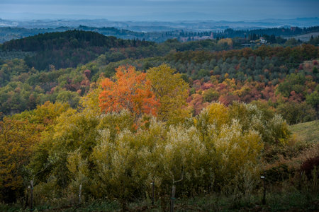 Buonconvento, Siena, Tuscany - Novembre 12, 2017: Autumnal trekking in the province of Siena, from Buonconvento village along the Cassia Road, to the confluence of the rivers Arbia and Ombrone then along the historical Via Francigena and the village of Chのeditorial素材