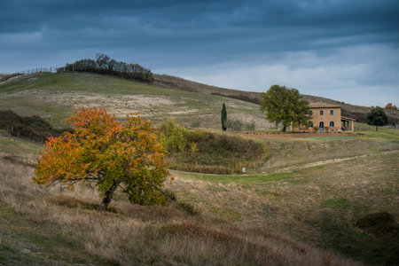 Buonconvento, Siena, Tuscany - Novembre 12, 2017: Autumnal trekking in the province of Siena, from Buonconvento village along the Cassia Road, to the confluence of the rivers Arbia and Ombrone then along the historical Via Francigena and the village of Chのeditorial素材