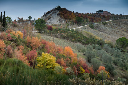 Chiusure, Siena, Tuscany - Novembre 12, 2017: Autumnal trekking in the province of Siena, from Buonconvento village along the Cassia Road, to the confluence of the rivers Arbia and Ombrone then along the historical Via Francigena and the village of Chiusuのeditorial素材