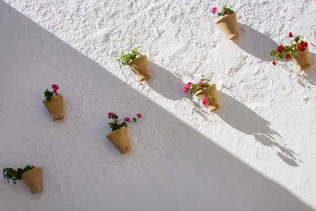 Olvera is a white village (pueblo blanco) in Sierra de Grazalema, Cadiz province, Andalucia, Spain - typical vases hanging on the wall with carnationsの写真素材