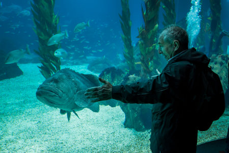 LISBON, PORTUGAL - January 31, 2011: (Lisbon Oceanarium) in the area around the Park of Nations, with the Vasco da Gama bridge in the background, created for Expo 1998, Lisbon. Portugal, 20th centuryのeditorial素材