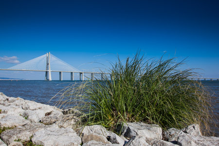LISBON, PORTUGAL - January 31, 2011: Area around the Park of Nations, with the Vasco da Gama bridge in the background, created for Expo 1998, Lisbon. Portugal, 20th centuryのeditorial素材