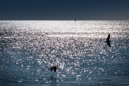 LISBON, PORTUGAL - February 01, 2011: Sesimbra beach in Setubal district, Atl?antic Ocean, Lisbon coast, Portugalのeditorial素材