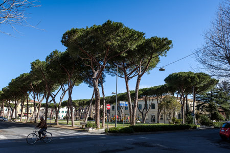 CECINA, TUSCANY, ITALY - March 31, 2018: piazza Carducci better known also as the children's square with the park to have funのeditorial素材