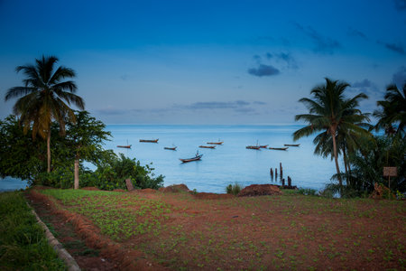 YONGORO, SIERRA LEONE - June 05, 2013: West Africa, the beach with fishing boats in front of the capital Freetown, Sierra Leoneのeditorial素材