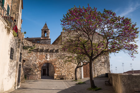 Rosignano Marittimo, Tuscany - Located in the province of Leghorn, from the square with the Church of San Ilario and the castle built in the year 1100 you can enjoy the view towards the sea of Rosignano Solvay, Vada and Castiglioncelloのeditorial素材