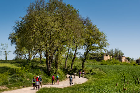 ASCIANO, TUSCANY, Italy - April 25, 2018: trekking, Asciano with ravines, farms in a harsh landscape, arrived in Serre di Rapolano known for the travertine quarries, but from the medieval heart. Unknown people walking along the famous white roadsのeditorial素材