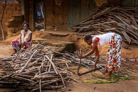 Yongoro, Sierra Leone - June 03, 2013: West Africa, unknown woman cut the wood in the village in front of the capital Freetown, SIerra Leoneのeditorial素材