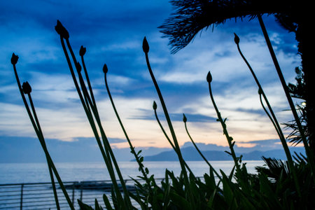 SESTRI LEVANTE, GENOA, ITALY - sunset in Sestri Levante and in the background view of the promontory of Portofino, Liguria, Italyの写真素材