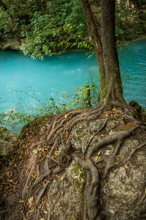 Alta Val dâElsa river park, the trail starts in Gracciano and reaches in Colle Val dâElsa (Siena, Tuscany) the river's waters are clear and of an intense turquoise color and are part of a protected natural areaの写真素材
