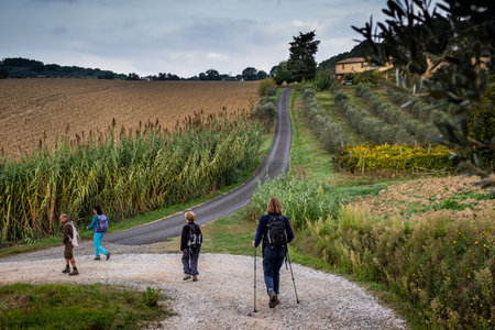 Four unknown person during the trekking through the hilly area around the municipality of Pomarance in the province of Pisa, Tuscany, Italyの写真素材