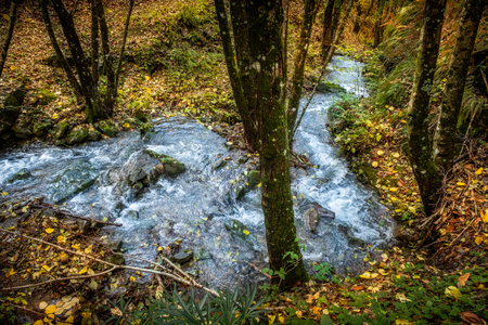 Path from Pontito leads to the Croce a Veglia with the Pescia stream of crystal clear water, walking along the Lucchese Apennines  to the Penna of Lucchio, Lucca, Tuscany - Italyの写真素材