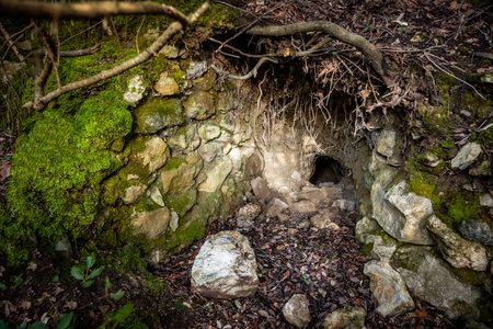 Archaeological remains of the abbey of San Quirico in Moxi, religious building located in the...