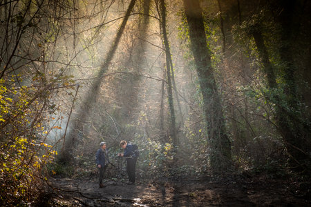 Trekking walk in the woods of Montescudaio in the province of Pisa, mists on the paths, rains with huge puddles and colors of winter. Italyの写真素材