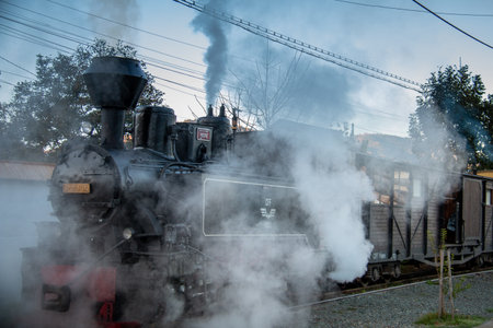 VISEUS DE SUS, ROMANIA - OCTOBER 10, 2014: Mocanita, a steam locomotive fueled by a wood fire, has...