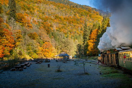 VISEUS DE SUS, ROMANIA - OCTOBER 10, 2014: Mocanita, a steam locomotive fueled by a wood fire, has Viseu de Sus as its starting point and runs for about 60 km to the border with Ukraine crossing the Maramures. Romania, Europeのeditorial素材