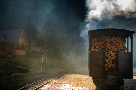 VISEUS DE SUS, ROMANIA - OCTOBER 10, 2014: Mocanita, a steam locomotive fueled by a wood fire, has...