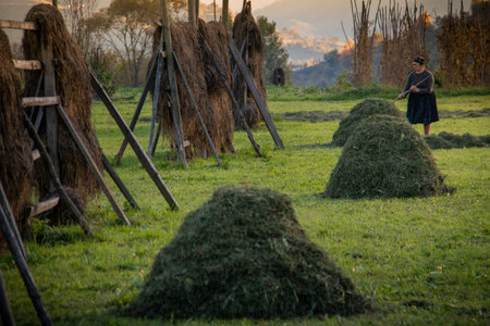 Maramures, the isolated Carpathian region of Romania, is nature to mark the rhythms of life and...