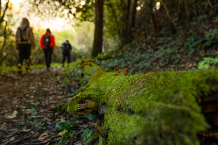 RIPAFRATTA, ITALY - JANUARY 06, 2020:  Unknown people during trekking in the medieval village of Ripafratta with the fortress of San Paolino stands on the banks of the Serchio river, in the municipality of San Giuliano Terme, Pisa, Tuscanyのeditorial素材