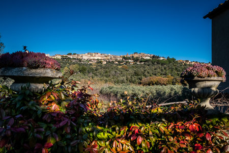 Landscape of Castagneto Carducci from the farm road, in the heart of the Livorno Maremma, in the center of the Etruscan coast, trekking among the dirt roads around the medieval village, Tuscany, Italyの写真素材