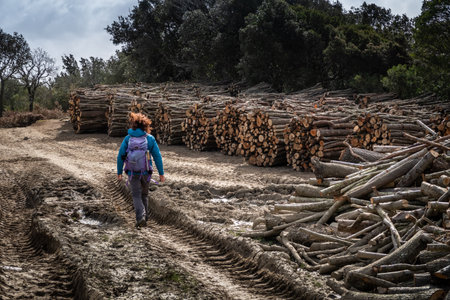 LIVORNO, ITALY - FEBRUARY 25, 2020: unknown people walk along the timber cutting and tractor tire marks during trekking in the woods of Rosignano Marittimo, Tuscany, Italyのeditorial素材