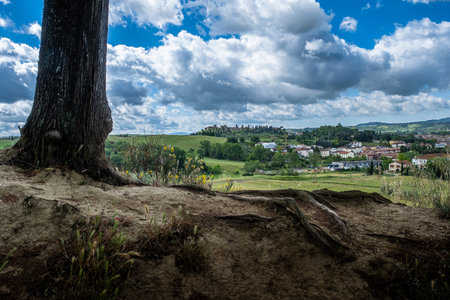 Trekking in Certaldo, panoramic view among the cypresses from the Canonica park to discover the gullies of Casale, a landscape with erosive phenomena with a final visit to the ancient village of Certaldo, province of Florence, Tuscany - Italyの写真素材