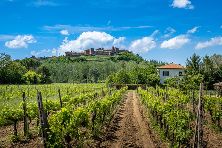 Trekking and panoramic view of the ancient village of Certaldo, province of Florence, Tuscany - Italyの写真素材