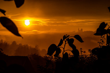 Sunrise