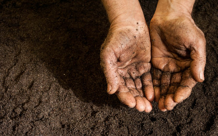 The hands of agricultureの写真素材