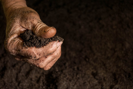 The hands of agricultureの写真素材