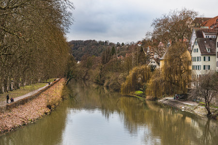 Winter view of the River Neckar and the Neckarinsel island from the popular Eberhardsbrucke with a weeping willow by the riverbank. Leafless trees conveys tranquility and calmness - Tubingen, Germanyのeditorial素材