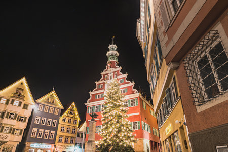 Esslingen am Neckar, Germany - December 25, 2017A Christmas tree stands by the Esslingen Altes...