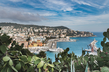 Prickly Pears Opuntia, Cactus Pear or Barbary figs with Port Lympia and the iconic Mont Boron. A traditional Mediterranean glimpse from the popular Colline du Chateau (Castle Hill) - Nice, Franceのeditorial素材