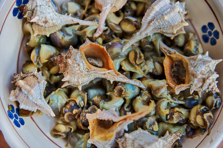 A colorful mix of edible seashells - spirals and cones - showcases marine textures and tones. Often...