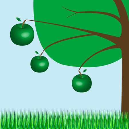apple tree, vector art illustration; more drawings in my galleryのイラスト素材