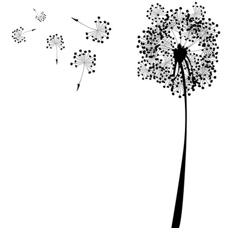 dandelion against white background, abstract vector art illustrationのイラスト素材