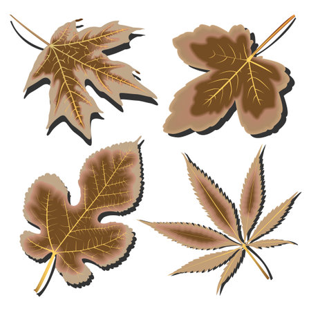 dry leaves collection against white background, abstract vector art illustrationのイラスト素材