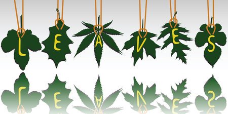 leaves tags reflected, abstract vector art illustrationのイラスト素材