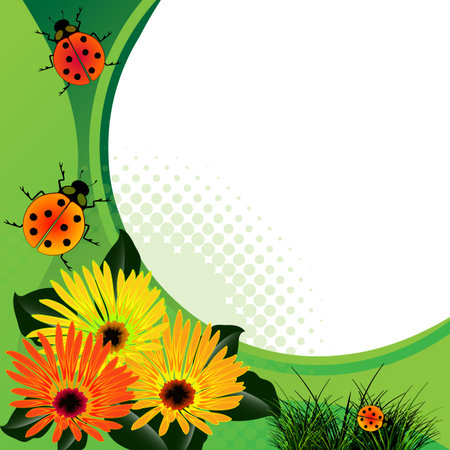 ladybugs over abstract floral background.のイラスト素材