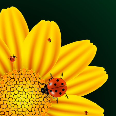 chamomile and ladybugs over dark green background, abstract vector art illustration; image contains gradient mesh and transparencyのイラスト素材
