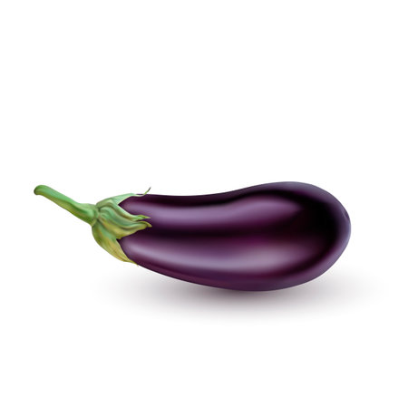 eggplant  isolated on white backgroundのイラスト素材