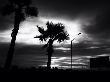 A black and white hidden sun. の素材