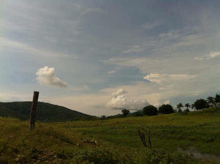 tranquility in the open fieldの素材