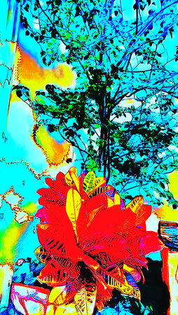 ART INSPIRING THE TREES AND PARKS